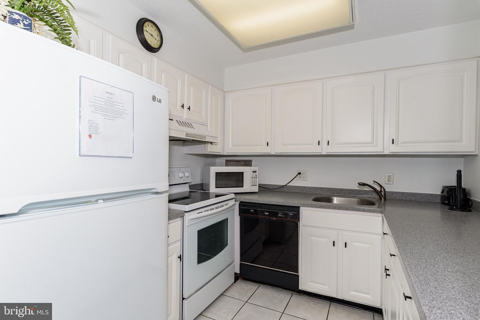 13110 COASTAL HIGHWAY #206 photograph
