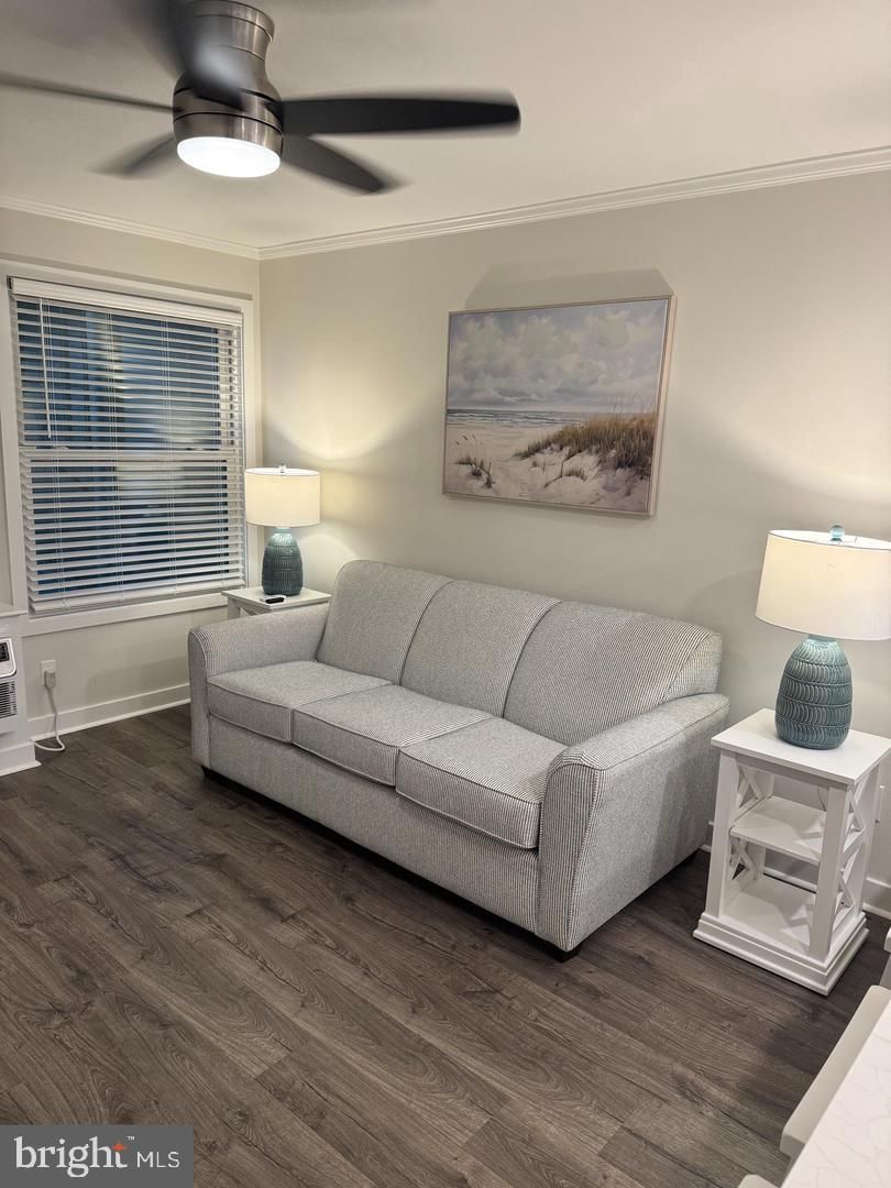 14001 COASTAL HIGHWAY #109 photograph