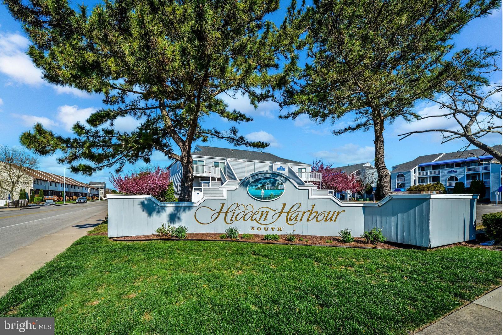12301 JAMAICA AVENUE #351N photograph