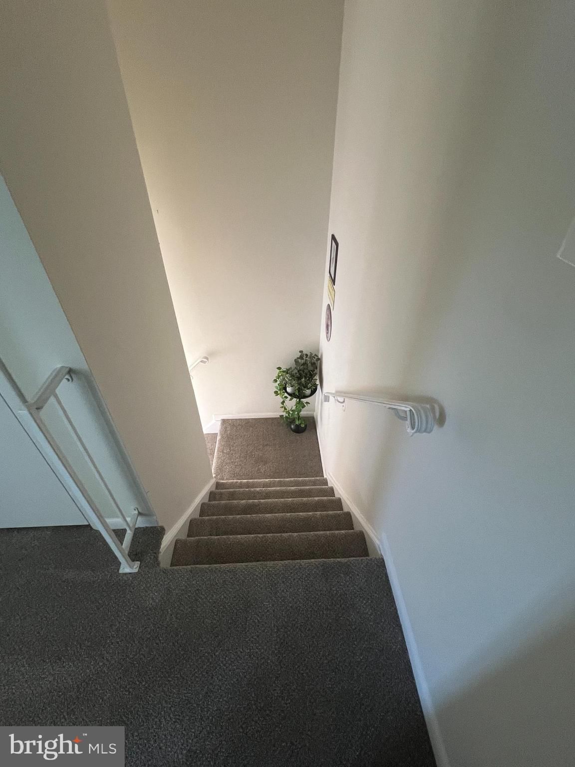 27 FOXGLOVE DRIVE photograph