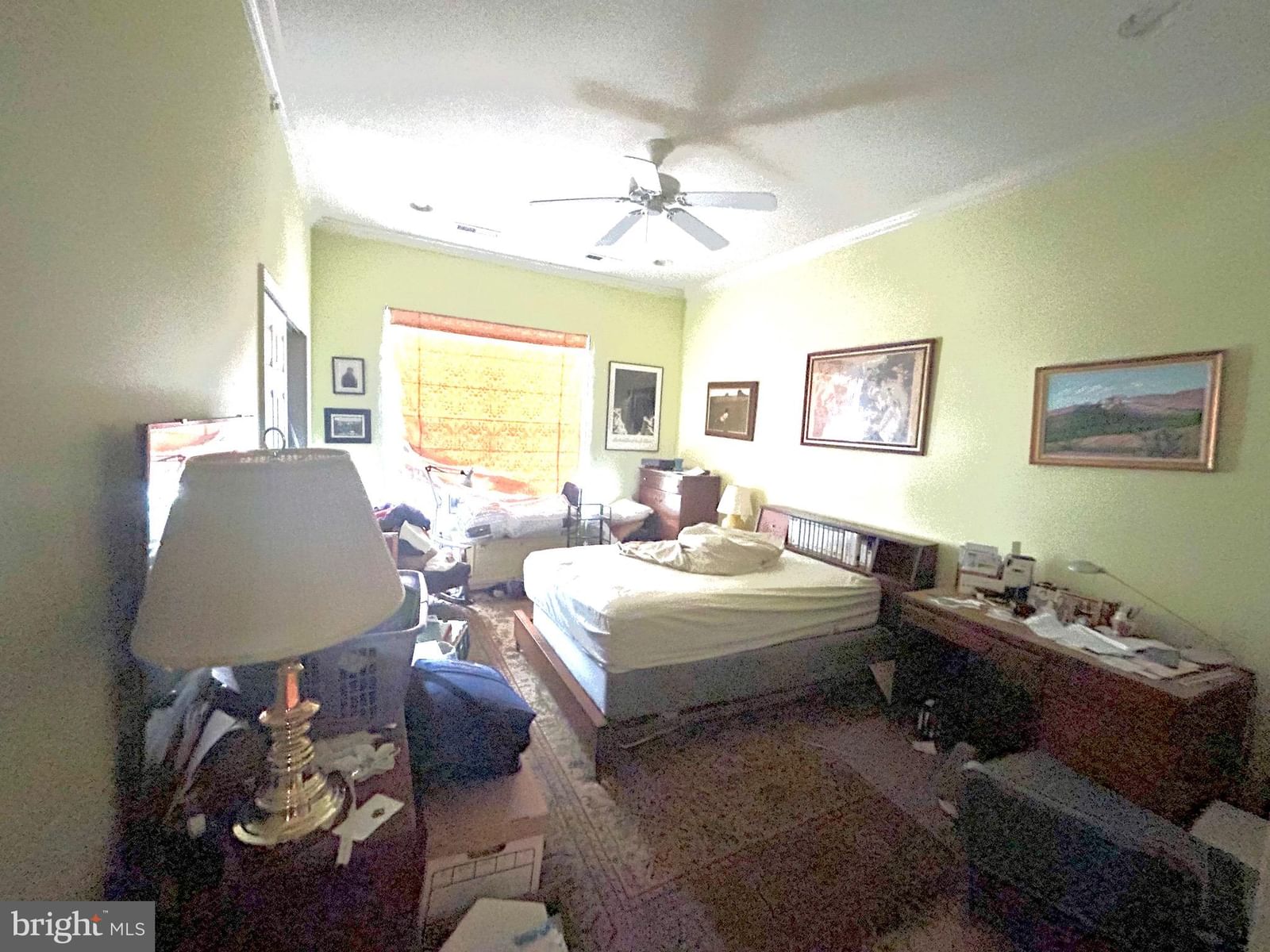 7320 MAPLE AVENUE #231 photograph