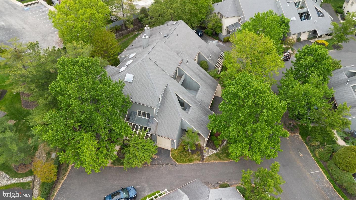 916 CHANTICLEER photograph