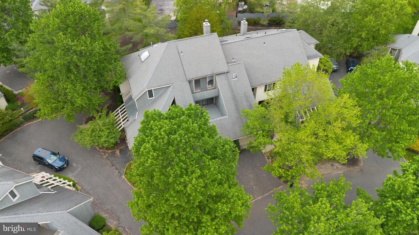 916 CHANTICLEER photograph
