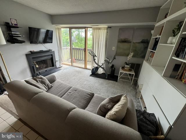 1009 ASPEN DRIVE photograph