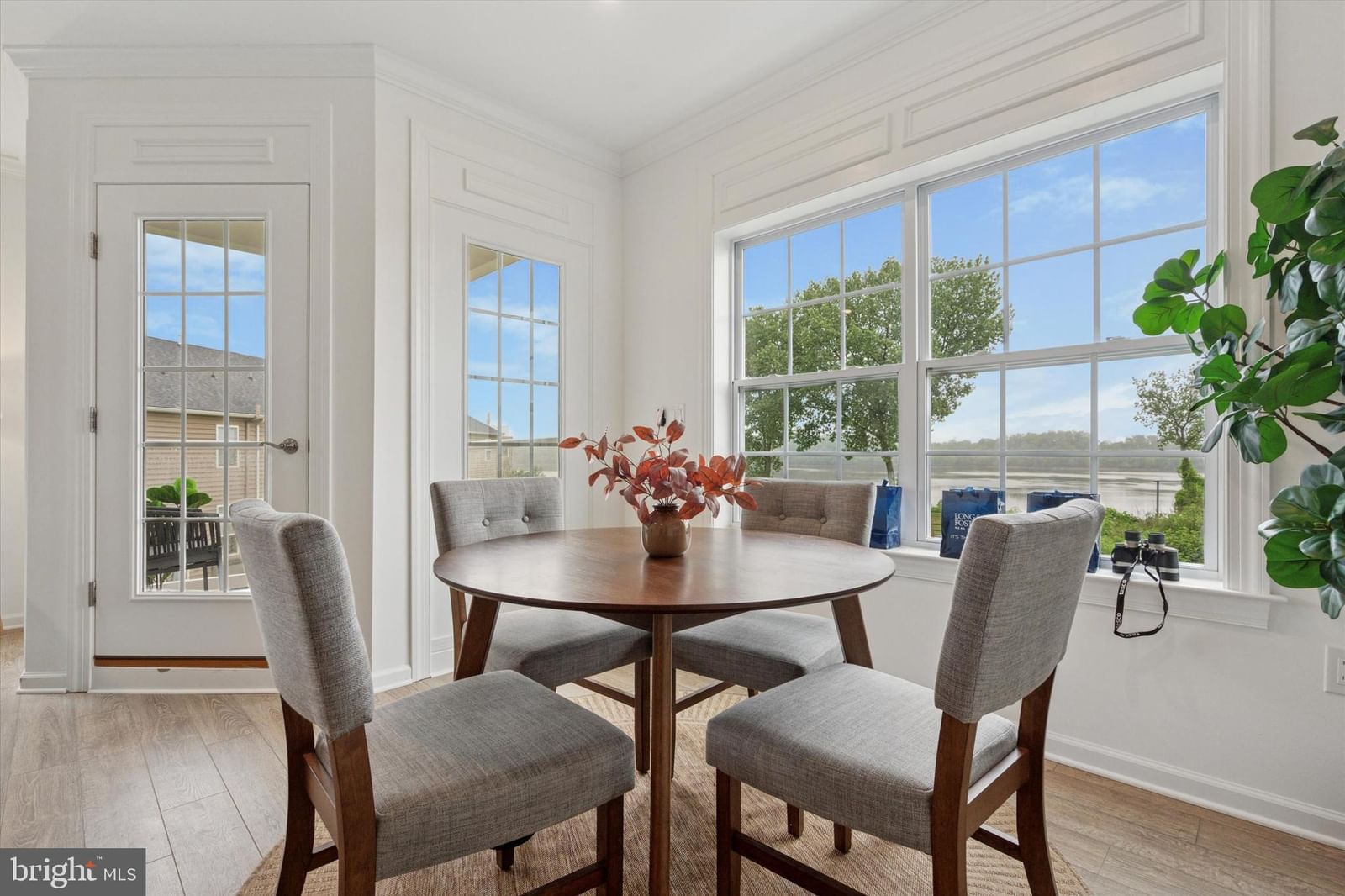 16124 RIVER VIEW COURT photograph