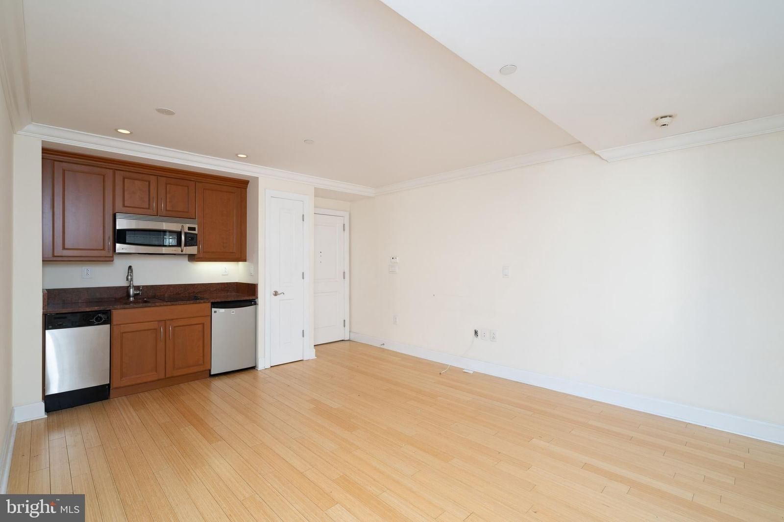 1701 LOCUST STREET #1417 photograph