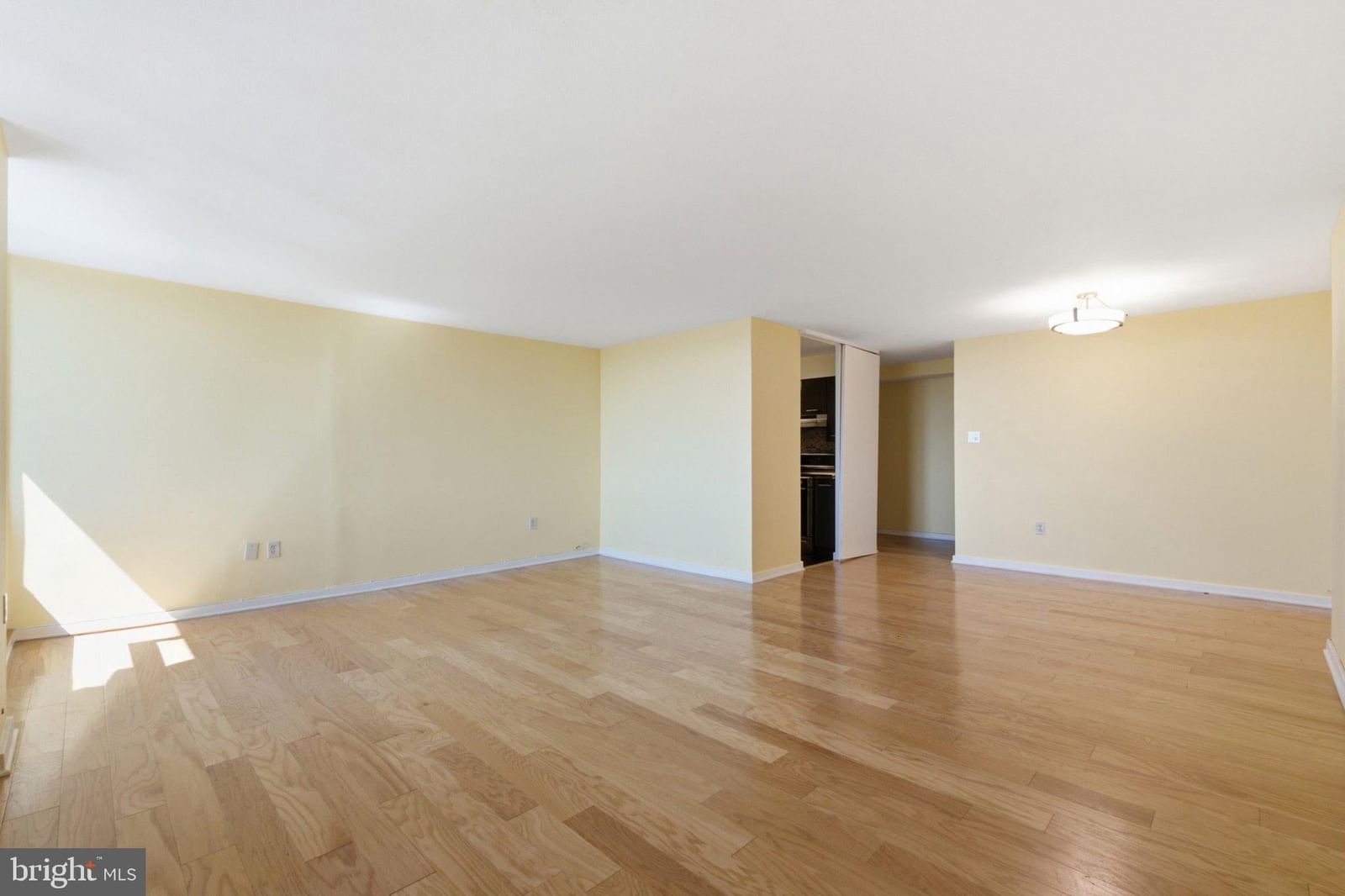 604 S WASHINGTON SQUARE #2505 photograph