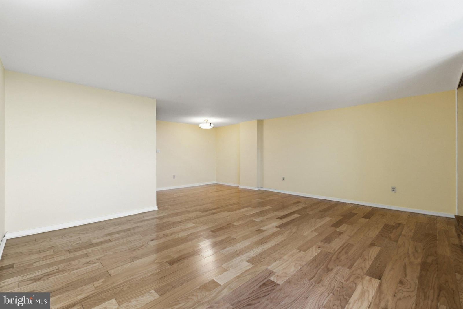 604 S WASHINGTON SQUARE #2505 photograph