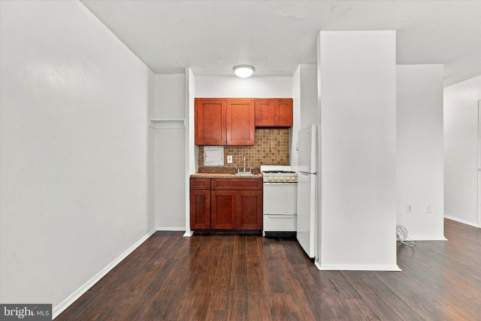 2101 CHESTNUT STREET #502 photograph