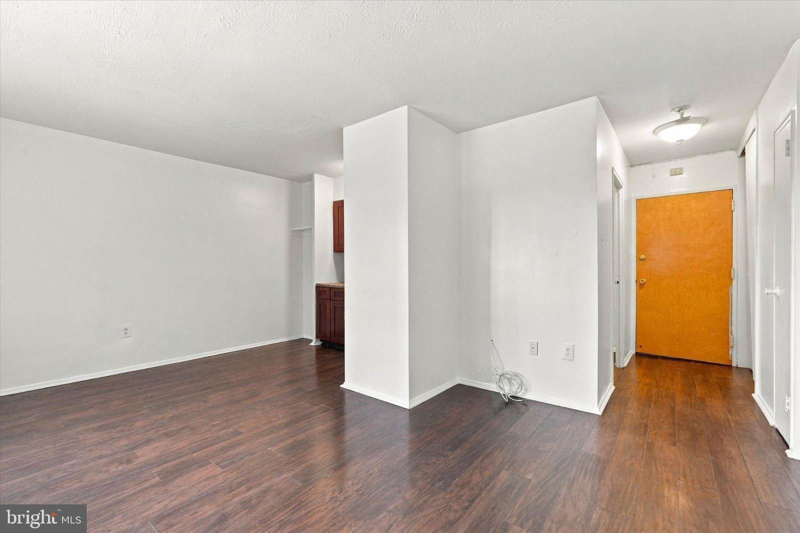 2101 CHESTNUT STREET #502 photograph
