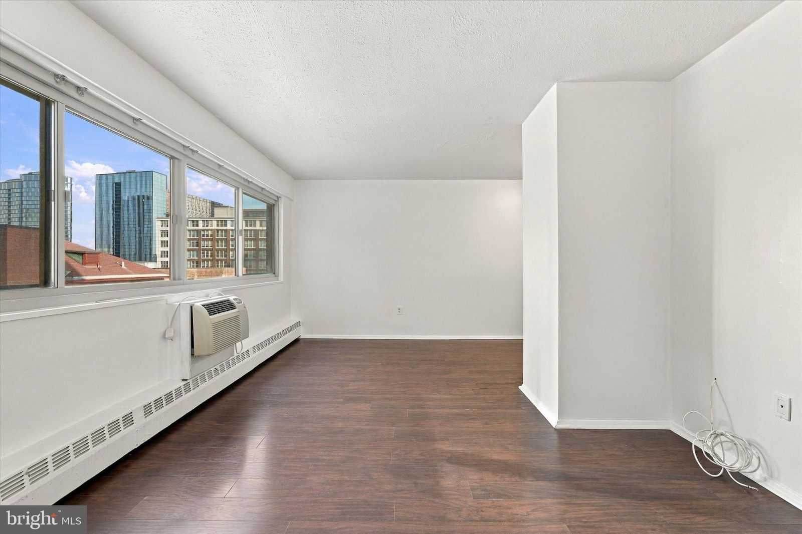 2101 CHESTNUT STREET #502 photograph