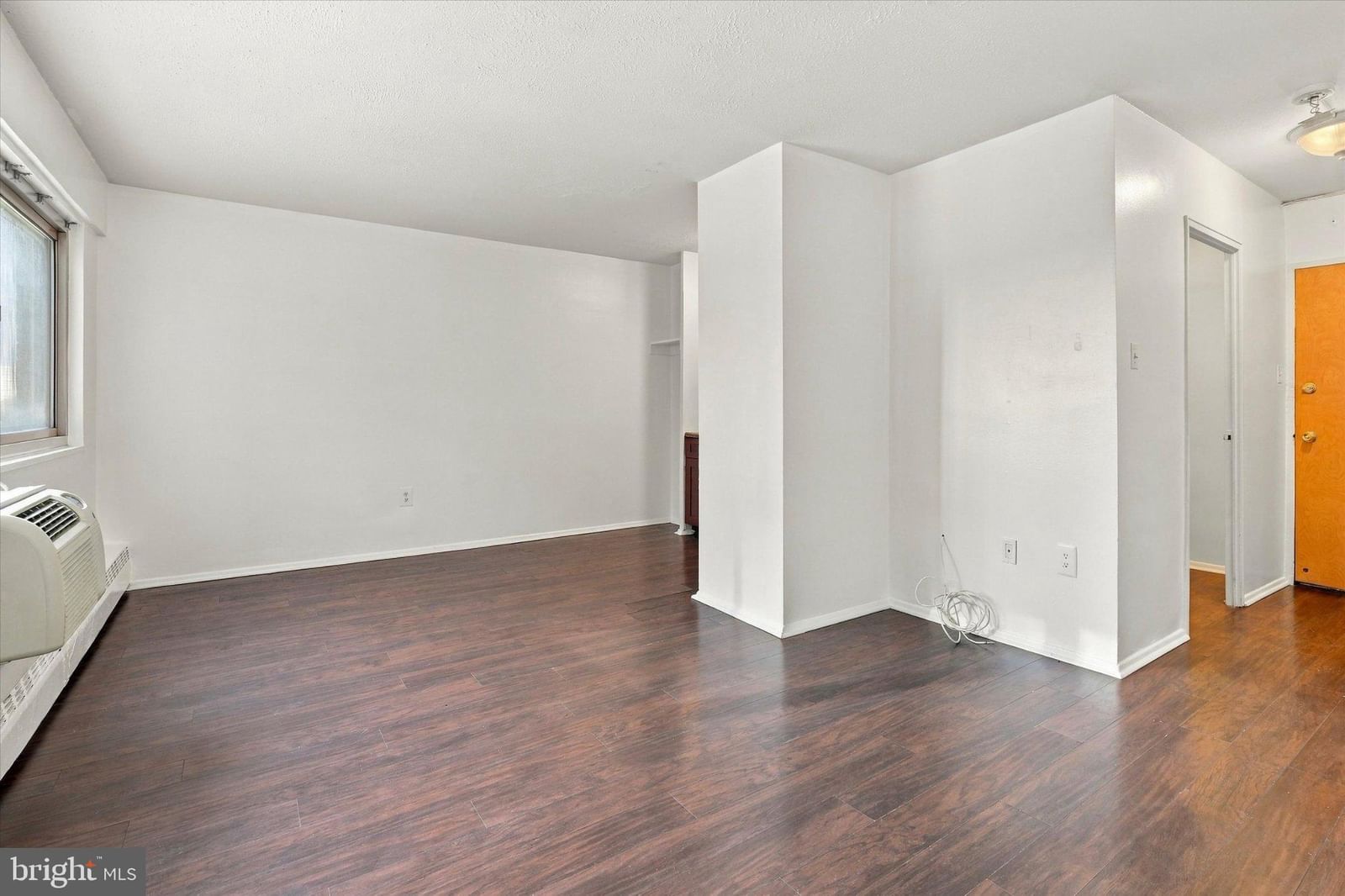 2101 CHESTNUT STREET #502 photograph