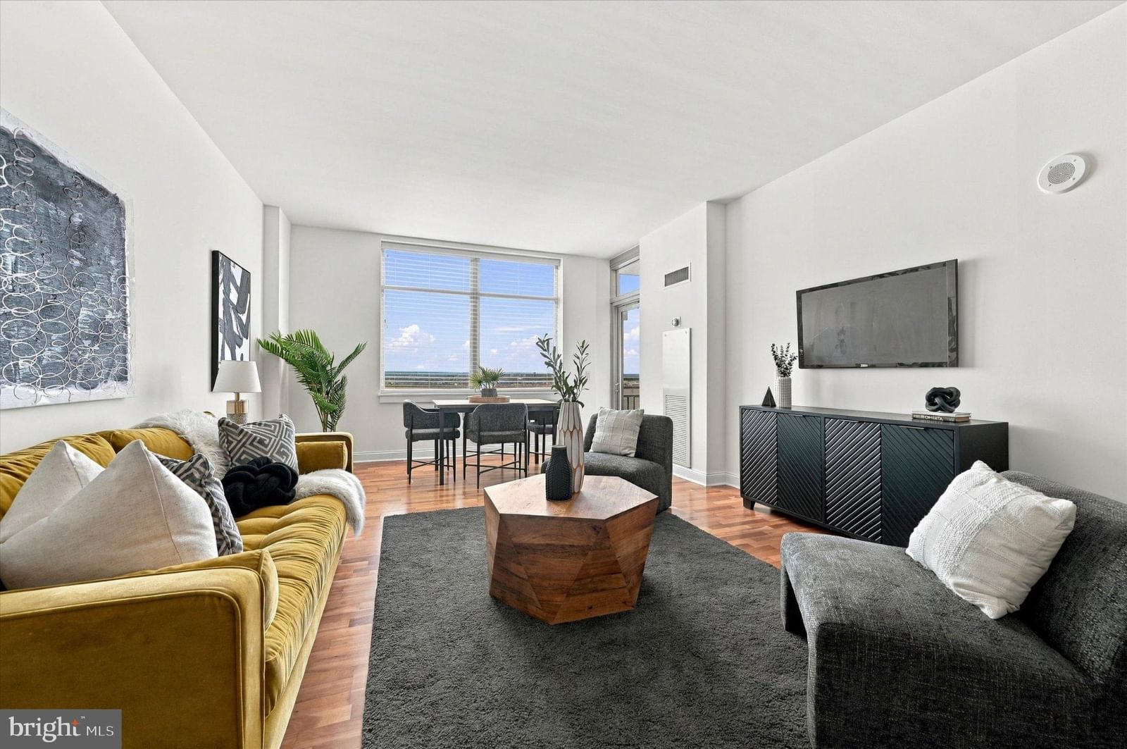 440 S BROAD STREET #1604 photograph