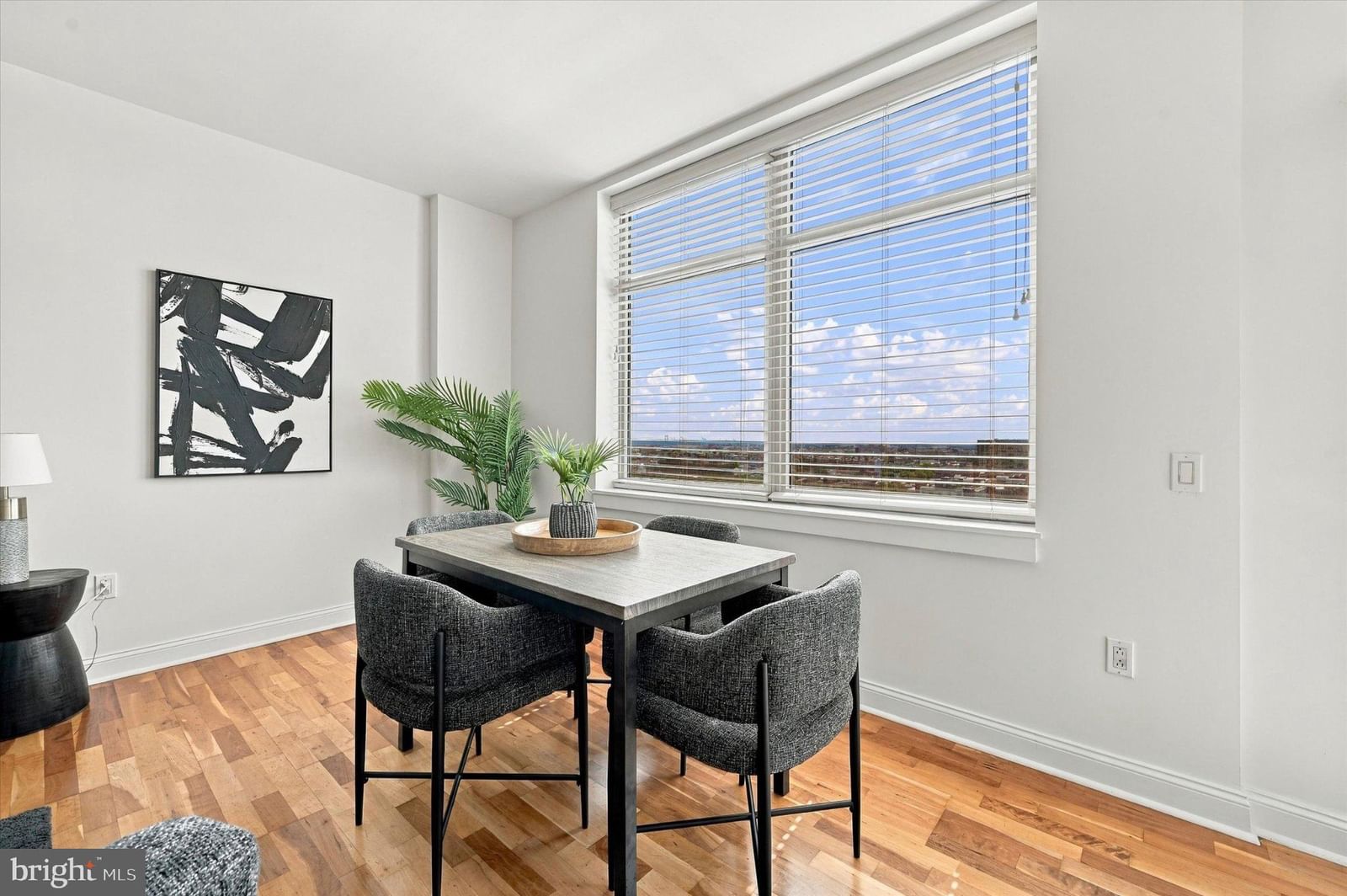 440 S BROAD STREET #1604 photograph