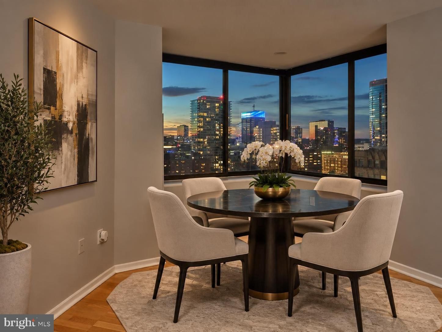 210 W RITTENHOUSE SQUARE #1704 photograph