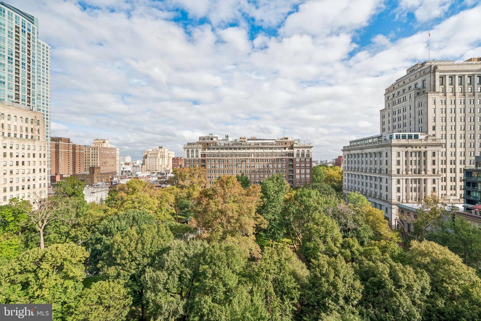 604 S WASHINGTON SQUARE #1308 photograph