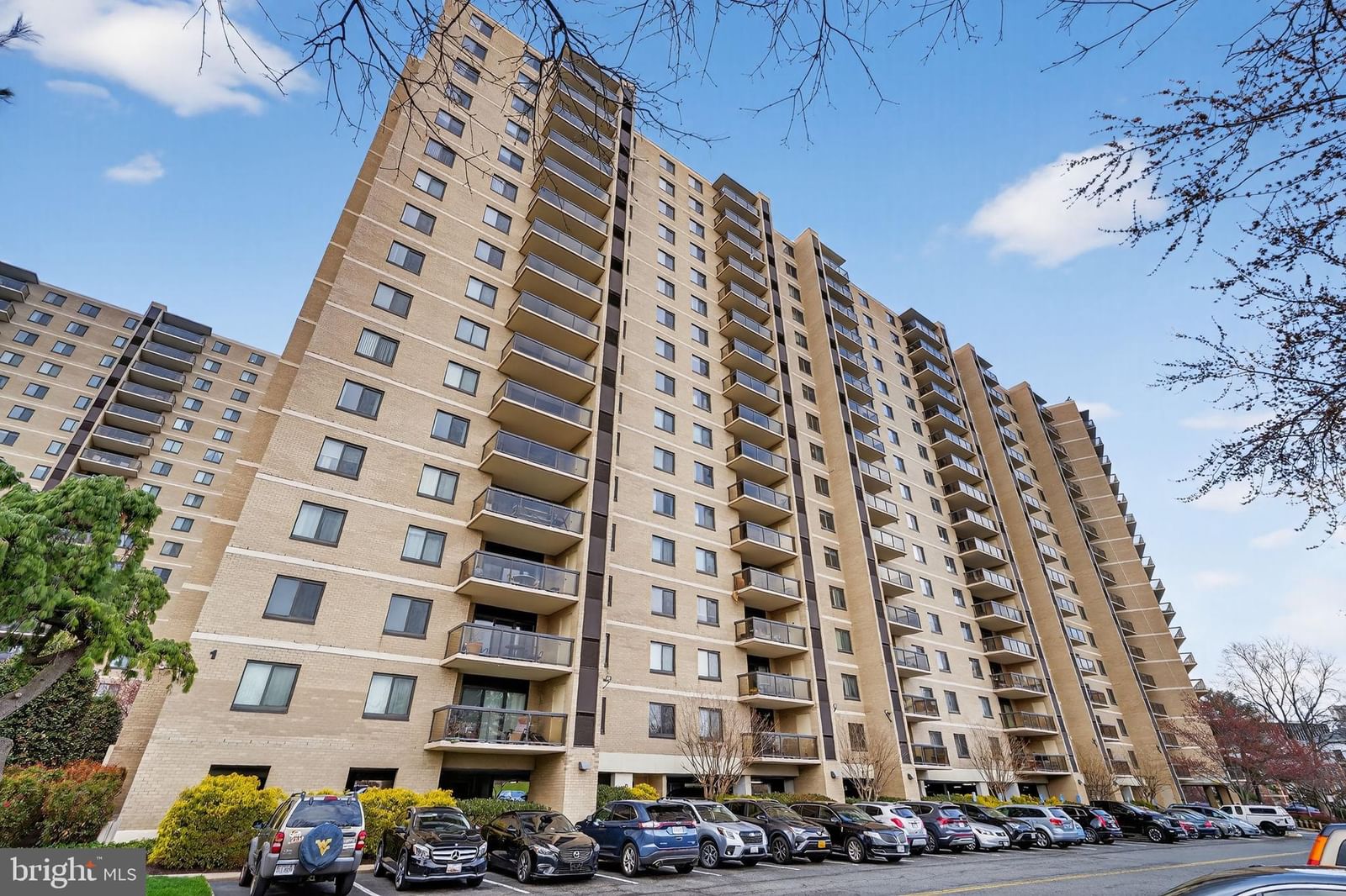 203 YOAKUM PARKWAY #1625 photograph