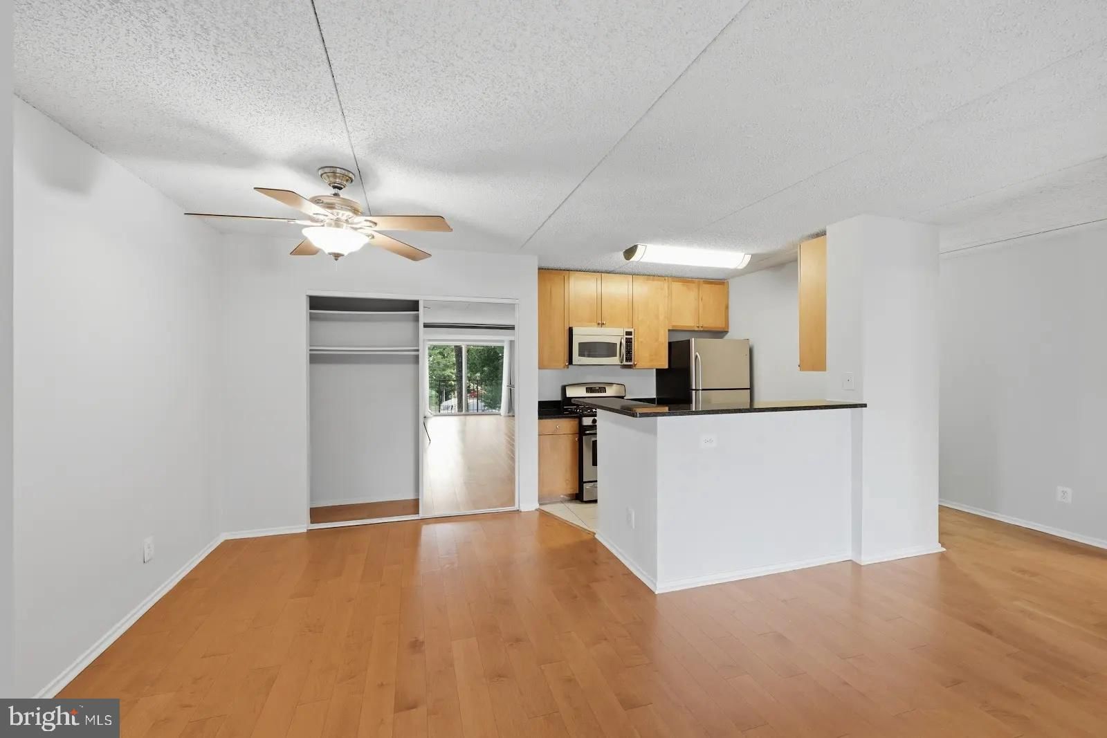 60 S VAN DORN STREET #202 photograph