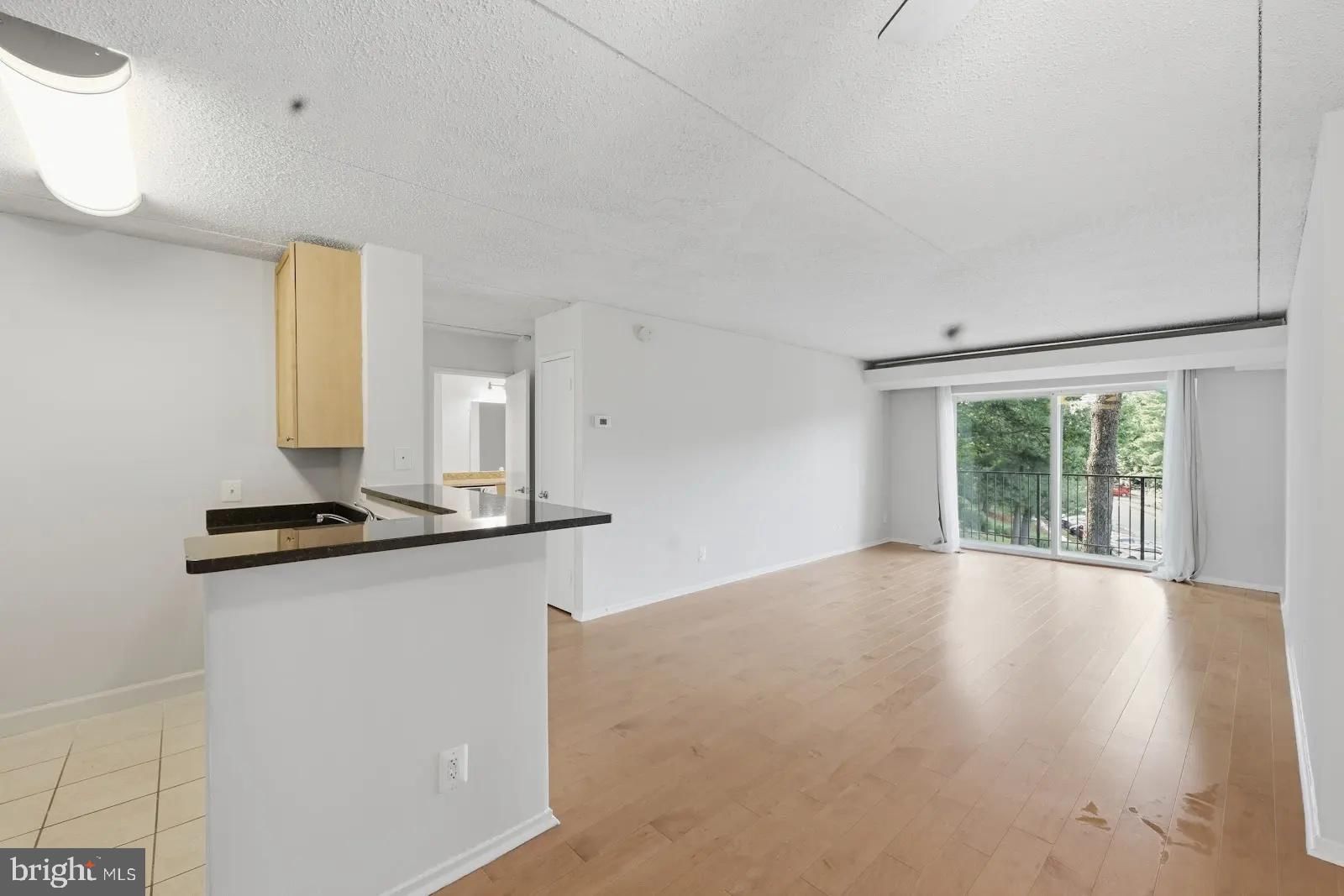 60 S VAN DORN STREET #202 photograph