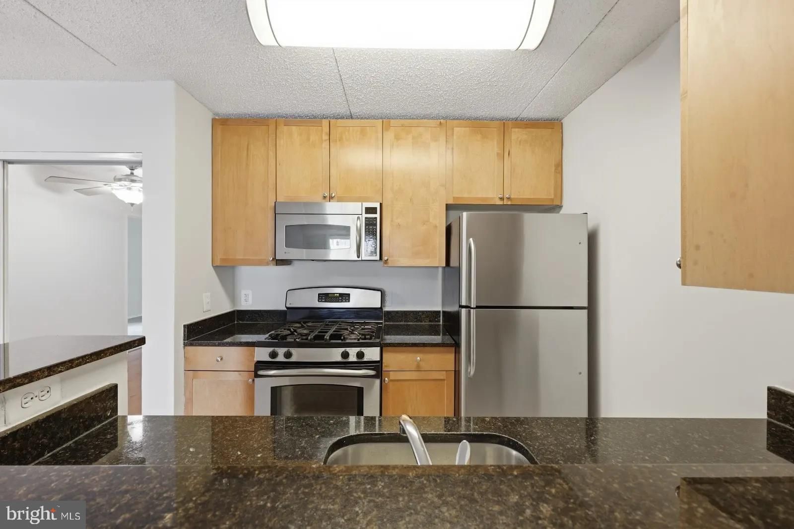 60 S VAN DORN STREET #202 photograph