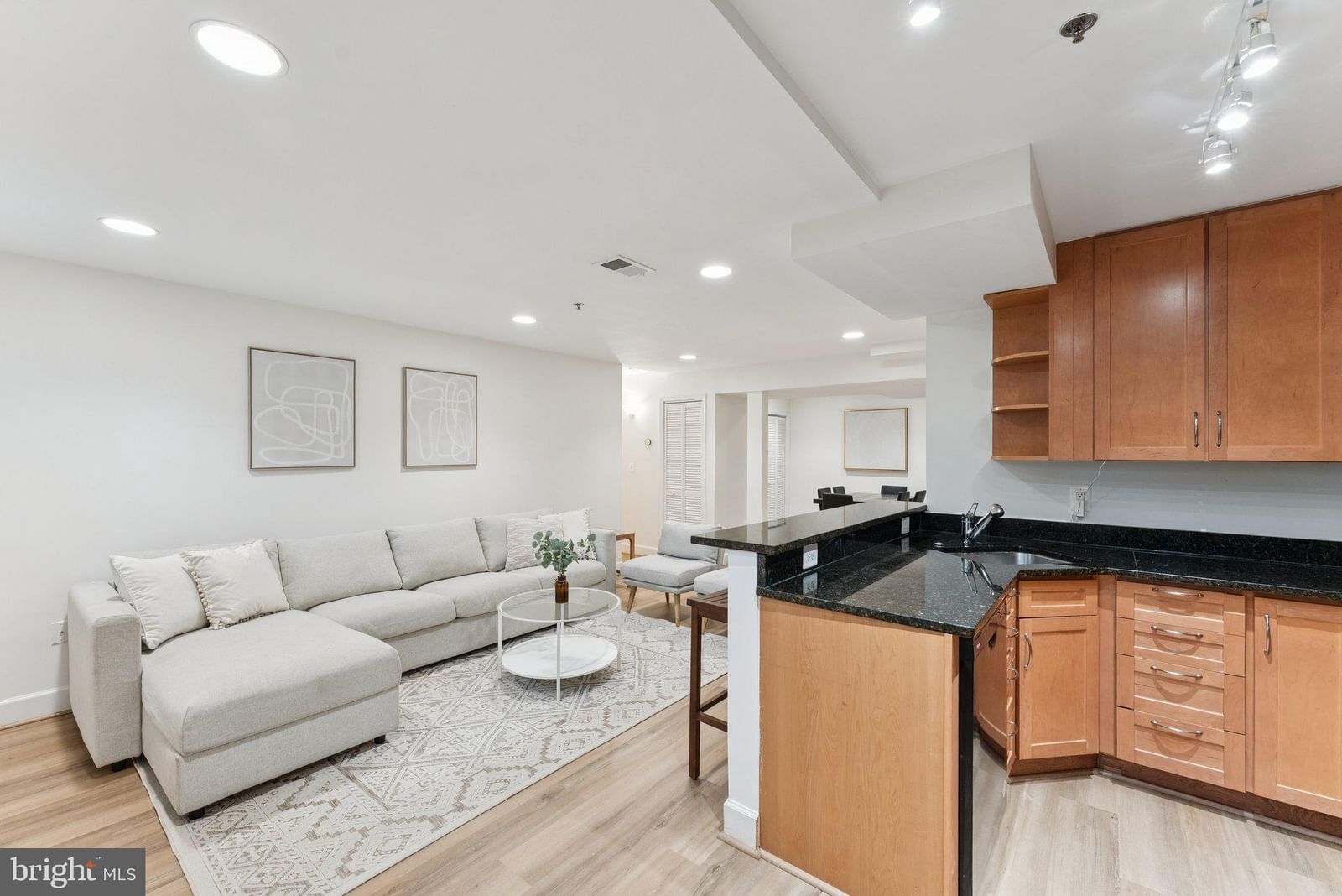 610 BASHFORD LANE #1301 photograph