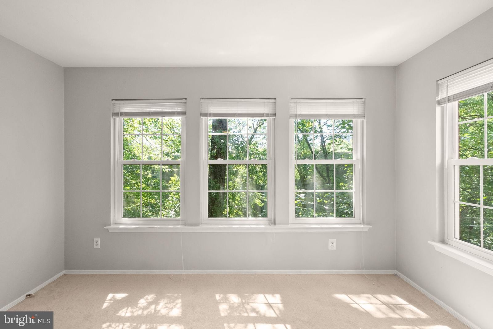 3313 WYNDHAM CIRCLE #3209 photograph