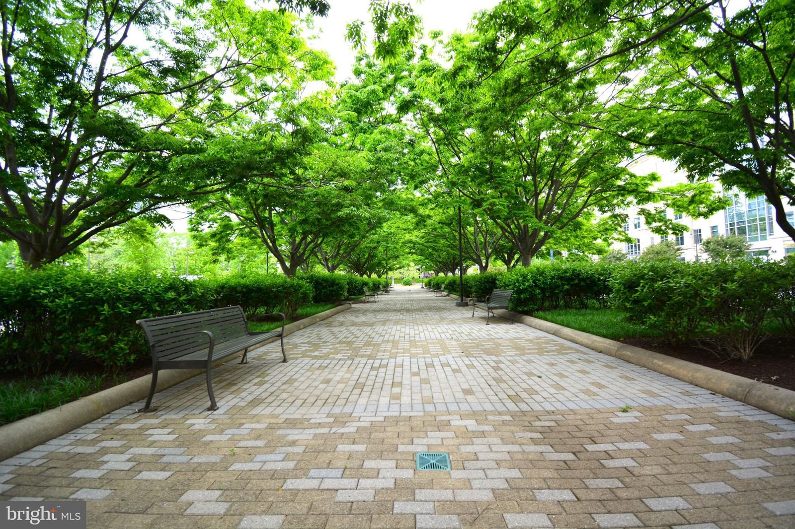 11770 SUNRISE VALLEY DRIVE #120 photograph