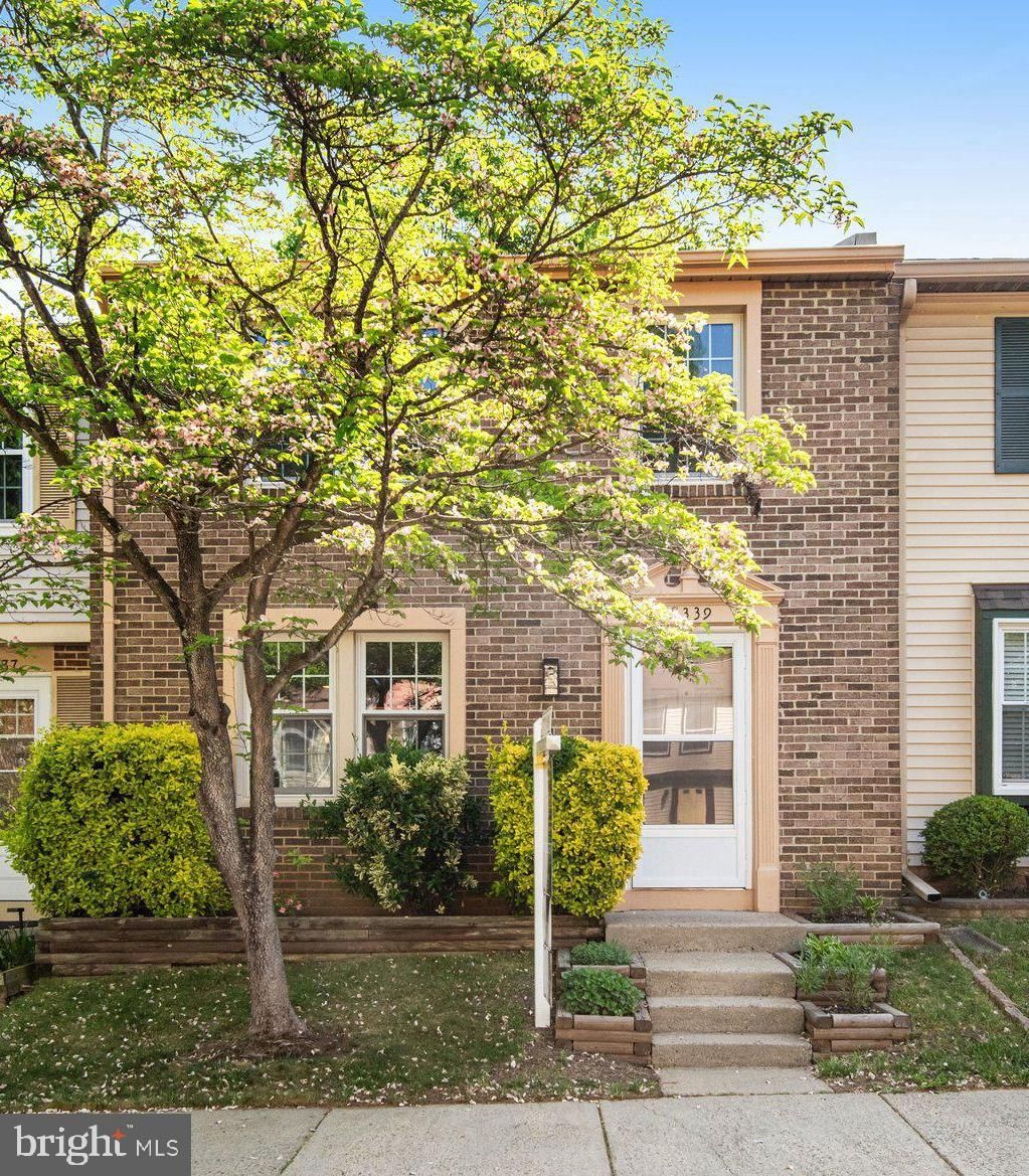 8339 BARK TREE CT, SPRINGFIELD 22153, VA