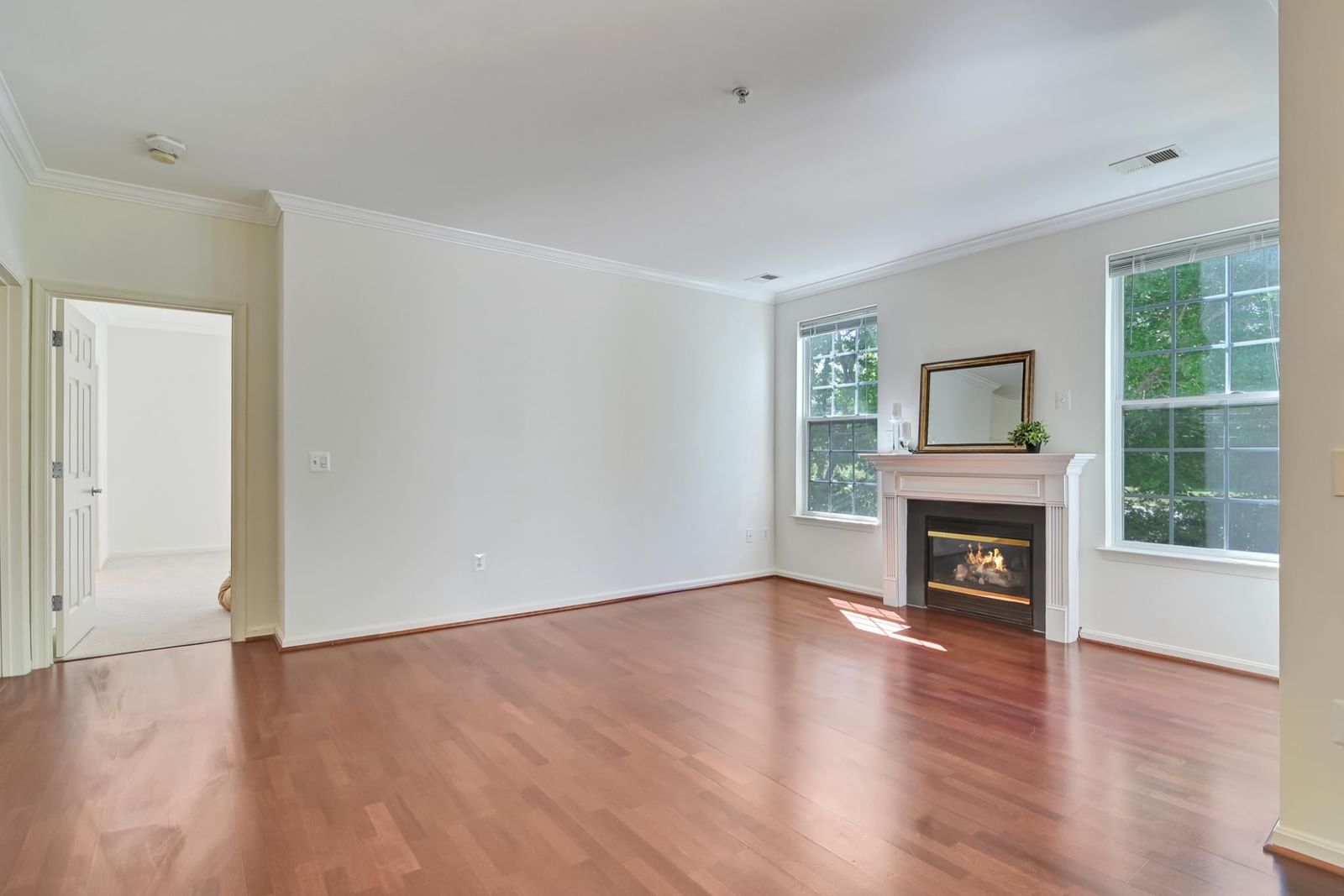 4151 CASTLECARY LANE #301 photograph