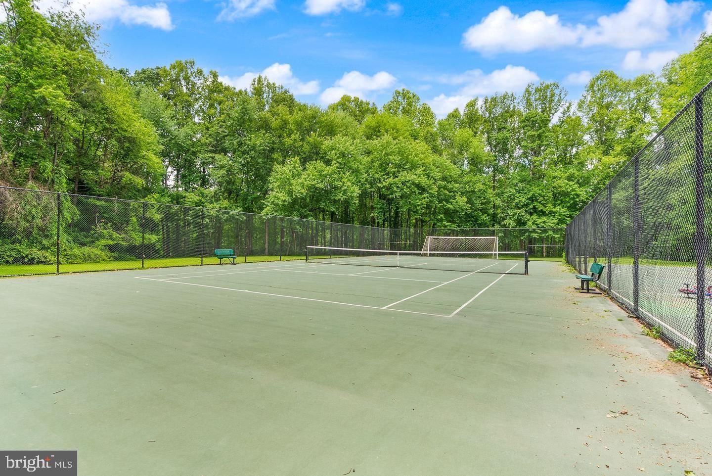 11232 CHESTNUT GROVE SQUARE #135 photograph