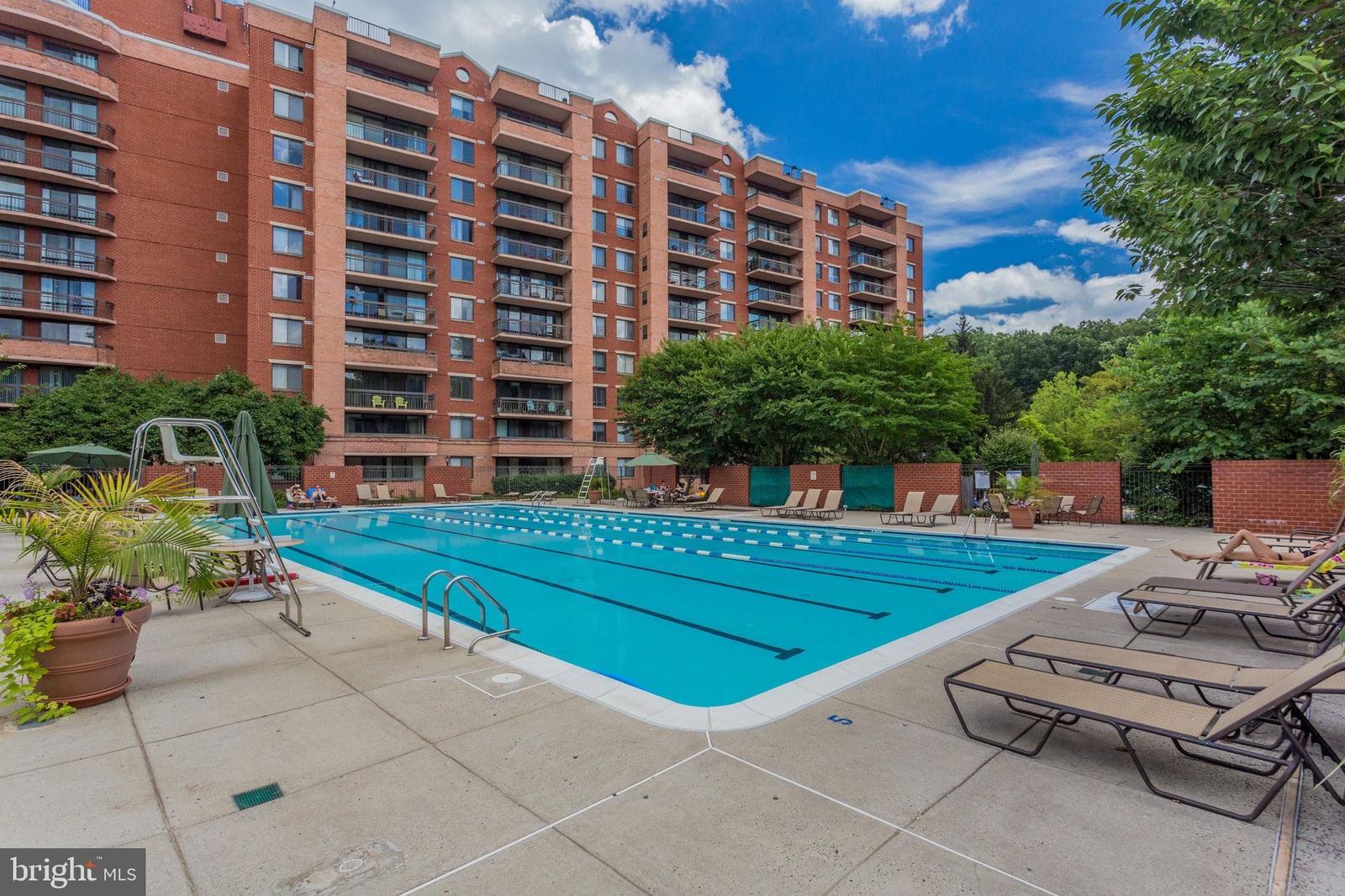 2230 GEORGE C MARSHALL DRIVE #808 photograph