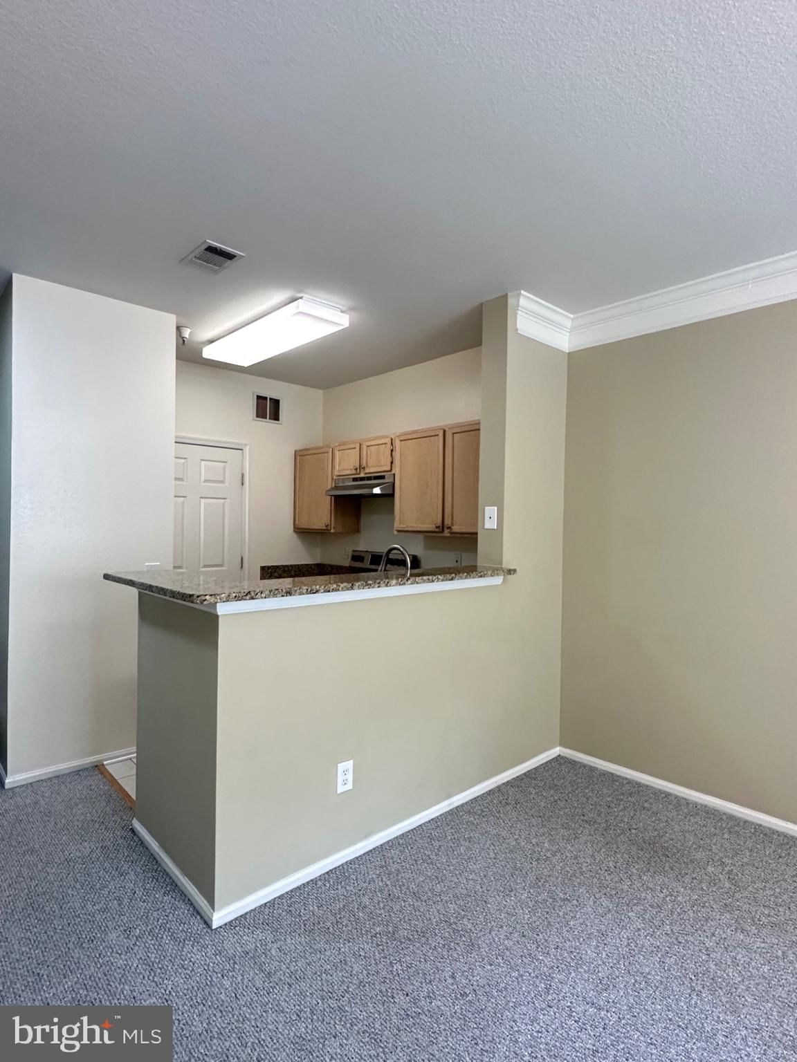 1580 SPRING GATE DRIVE #4216 photograph