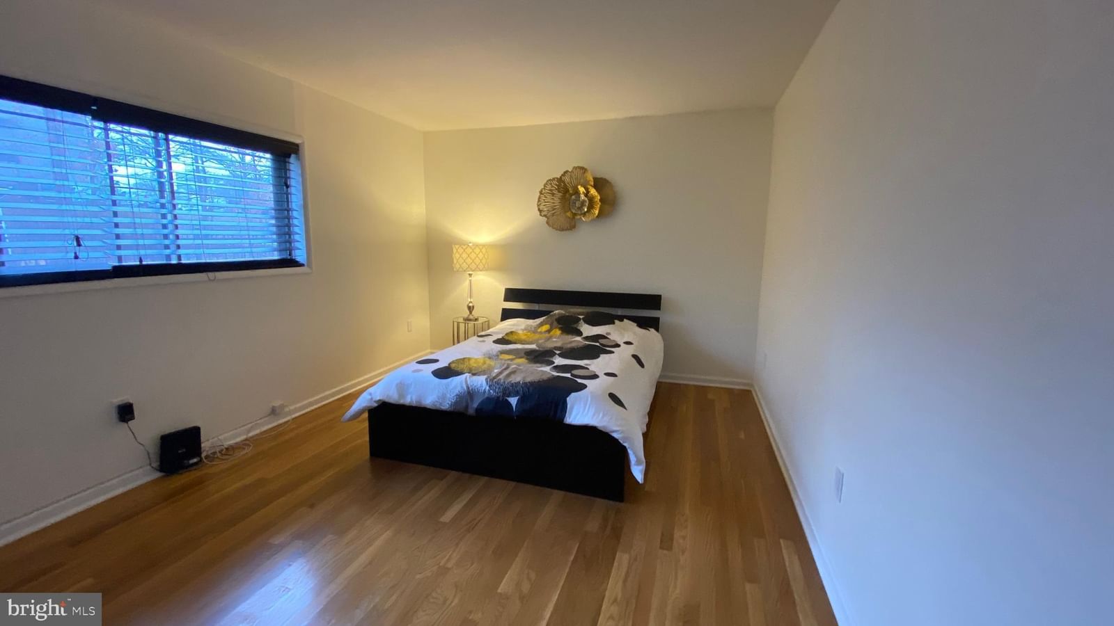 7829 ENOLA STREET #101 photograph