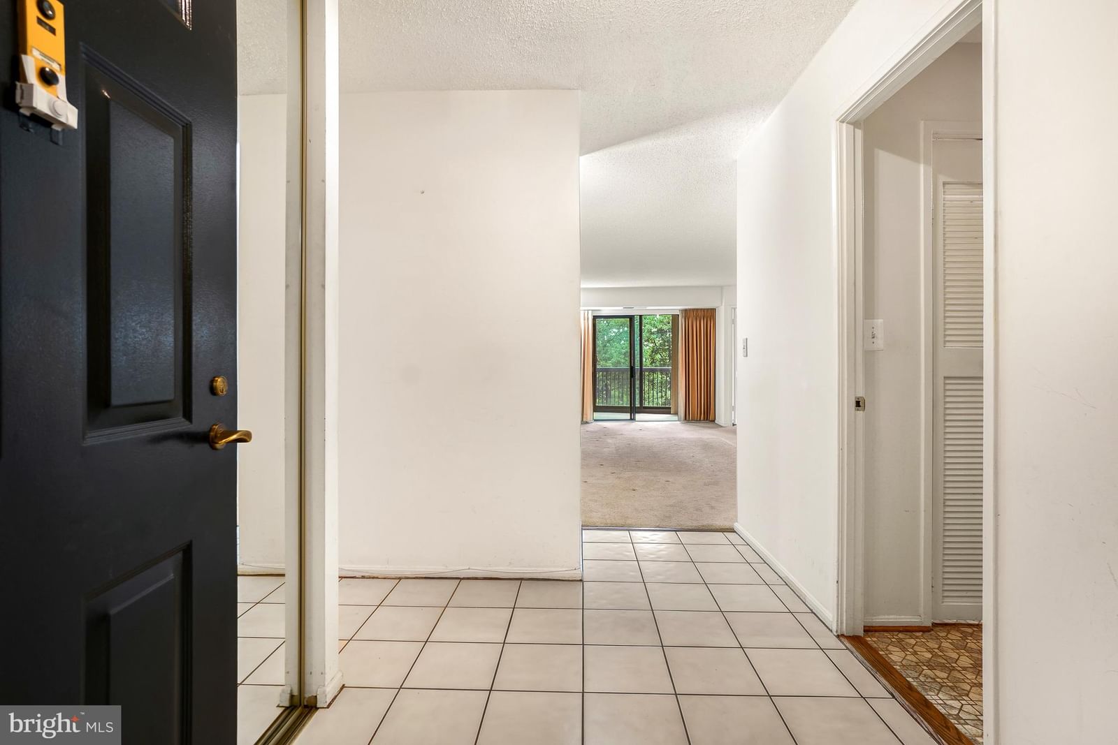 5904 MOUNT EAGLE DRIVE #114 photograph