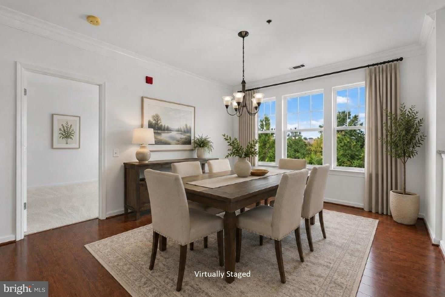 20580 HOPE SPRING TERRACE #204 photograph