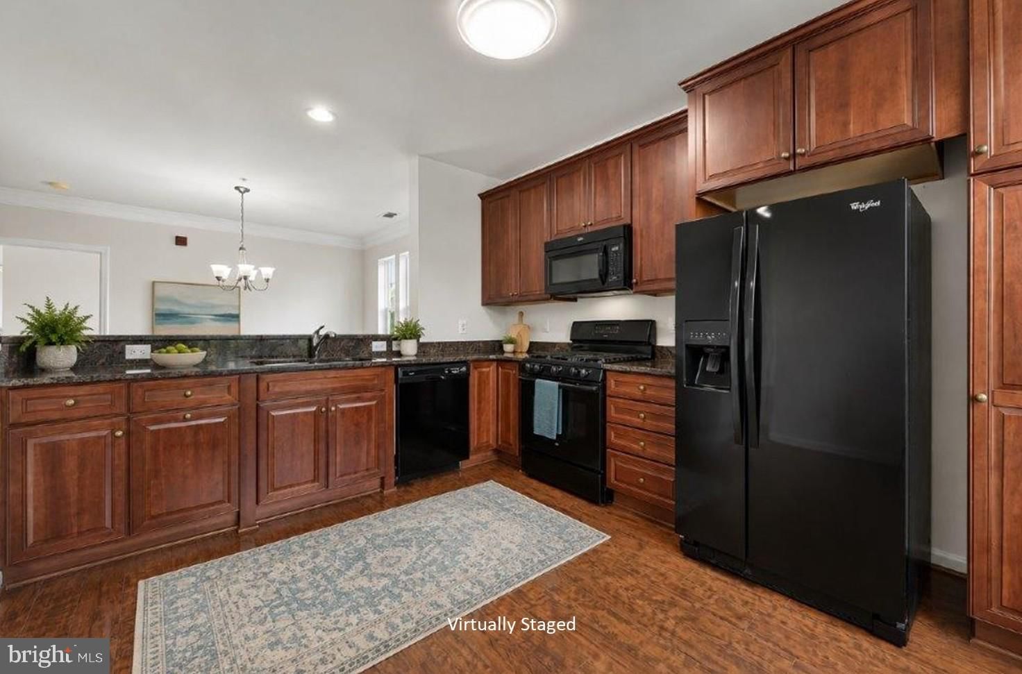 20580 HOPE SPRING TERRACE #204 photograph
