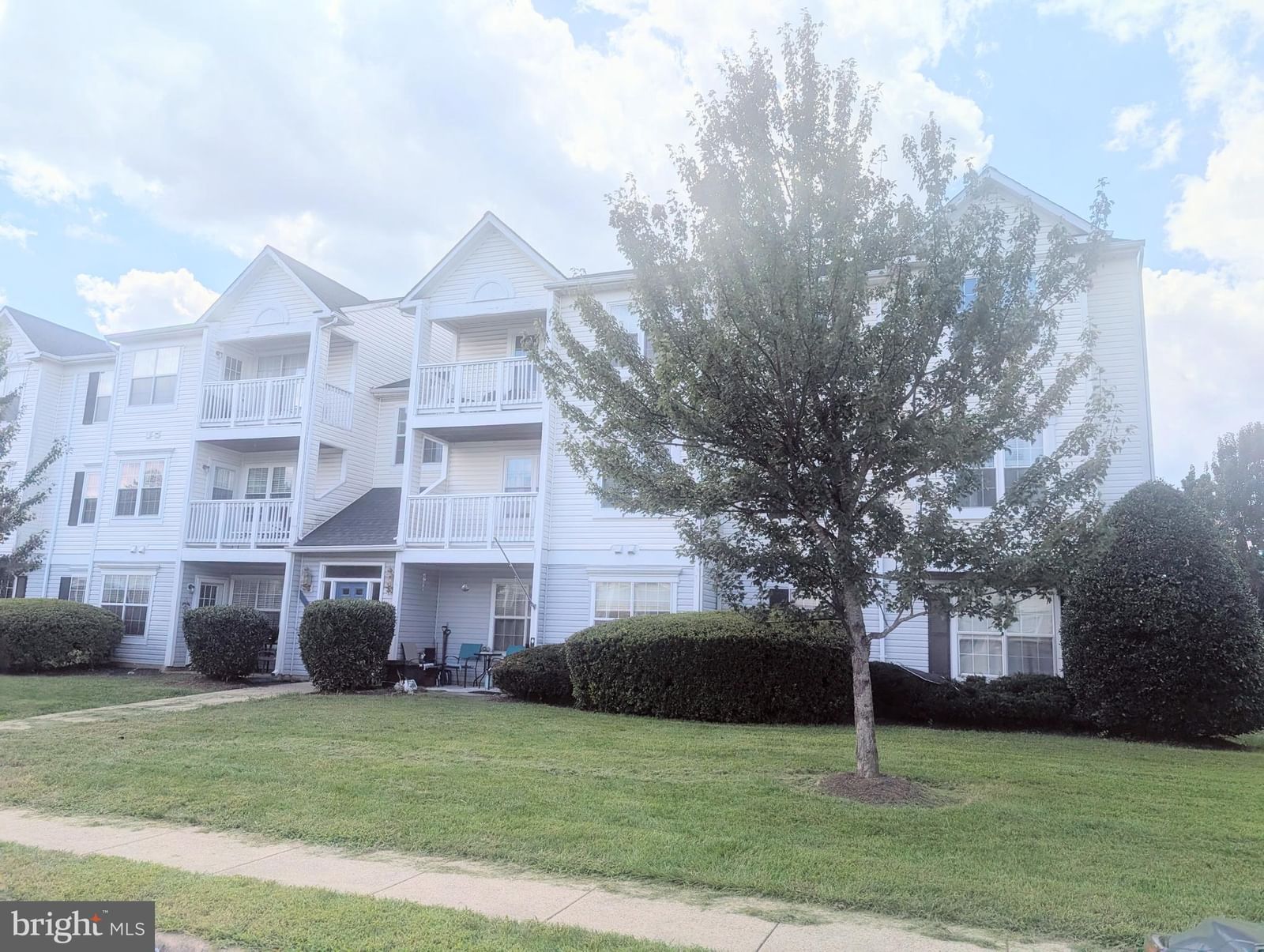 8050 LISLE DRIVE photograph