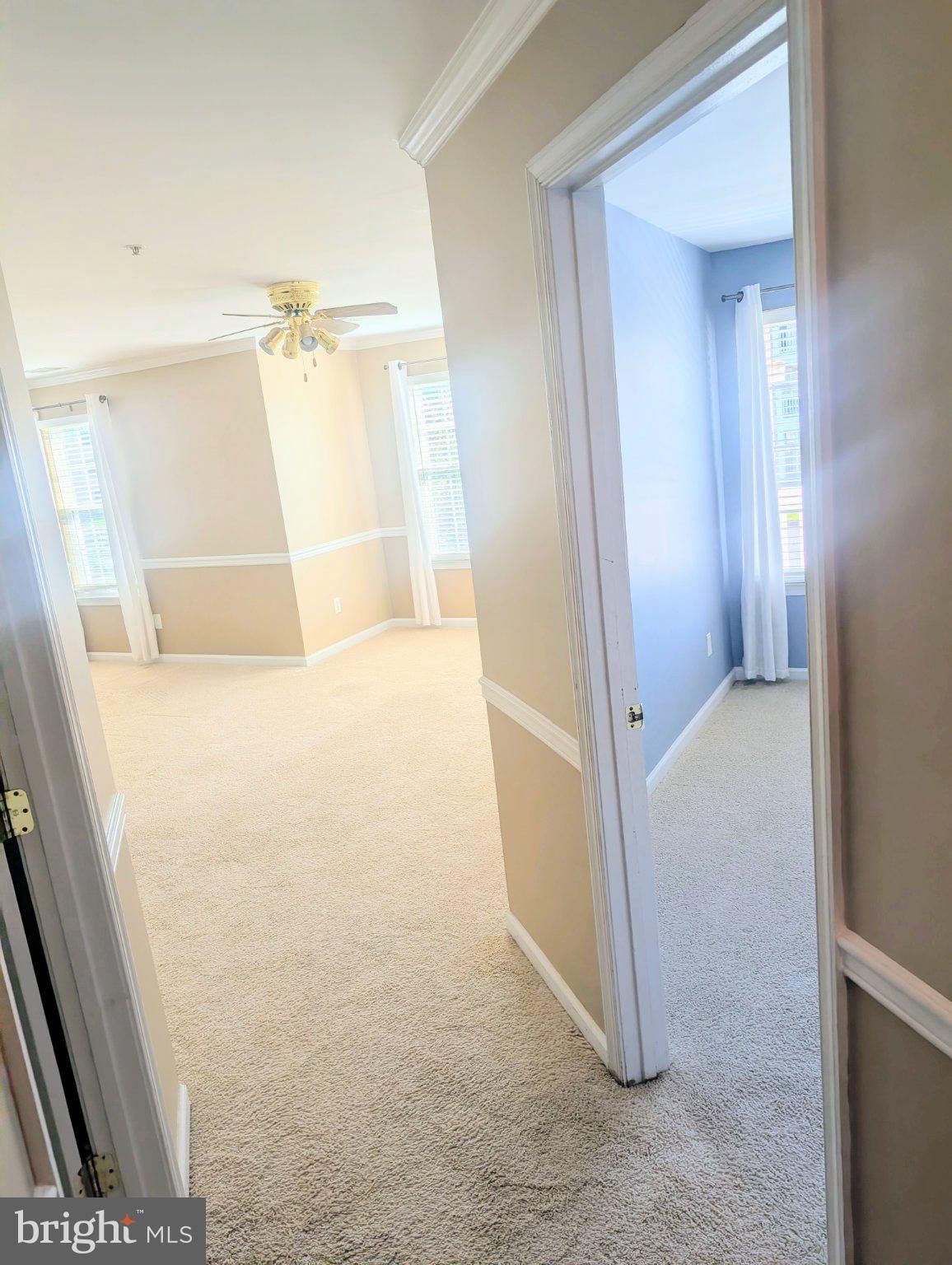 8050 LISLE DRIVE photograph