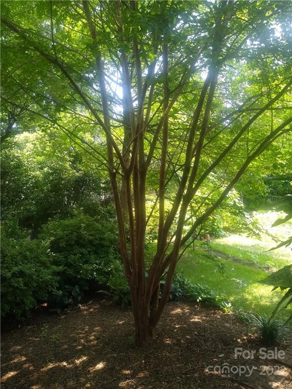 Property at 3397 Camp Julia Road, Kannapolis, NC 28083