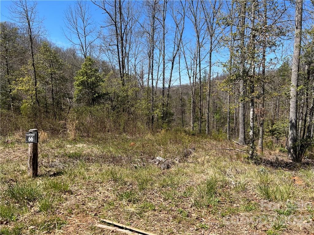 00 River Club Drive #66, Cullowhee, NC 28723 - Photo 4