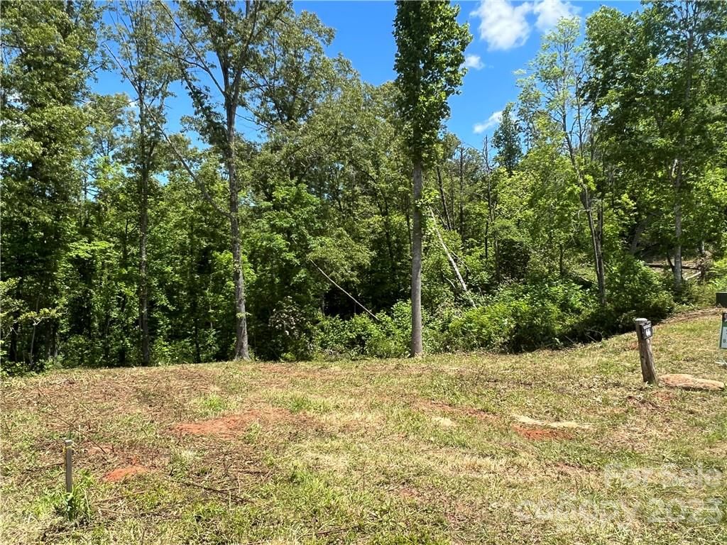 00 River Club Drive #66, Cullowhee, NC 28723 - Photo 5