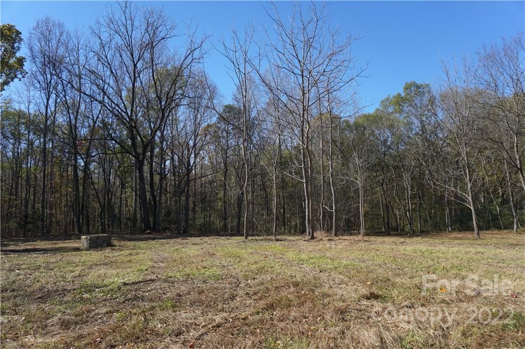 Property at 10.64 AC Burree Road, Clover, SC 29710