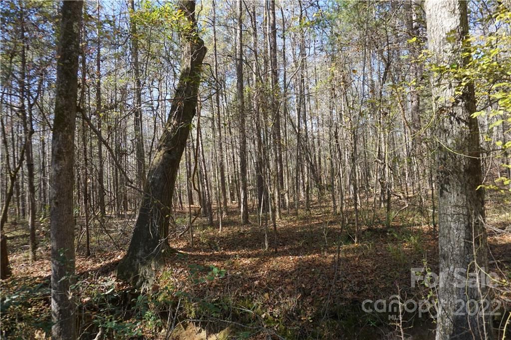 Property at 10.64 AC Burree Road #6, Clover, SC 29710
