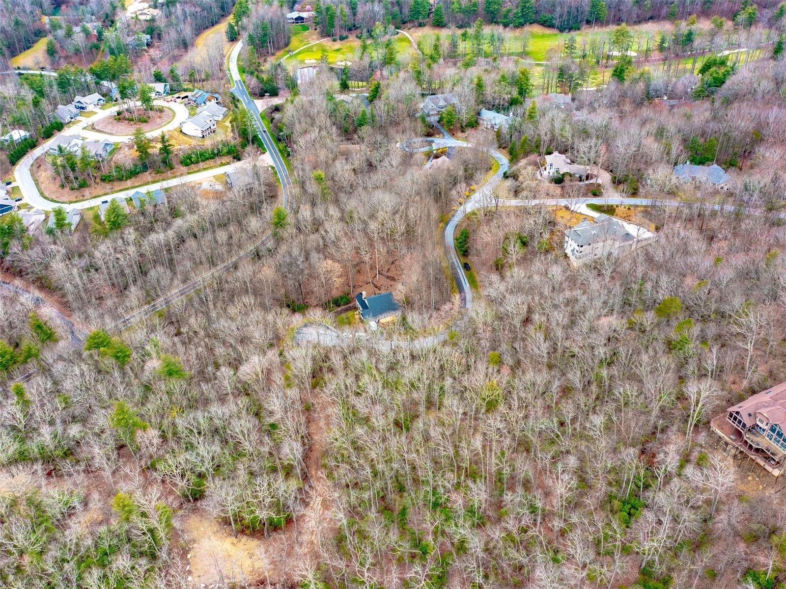 214 Chimney Crossing #92, Hendersonville, NC 28739 - Photo 2