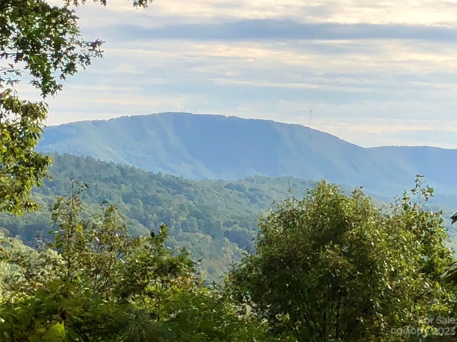 216 BENT PINE Trace #174, Hendersonville, NC 28739