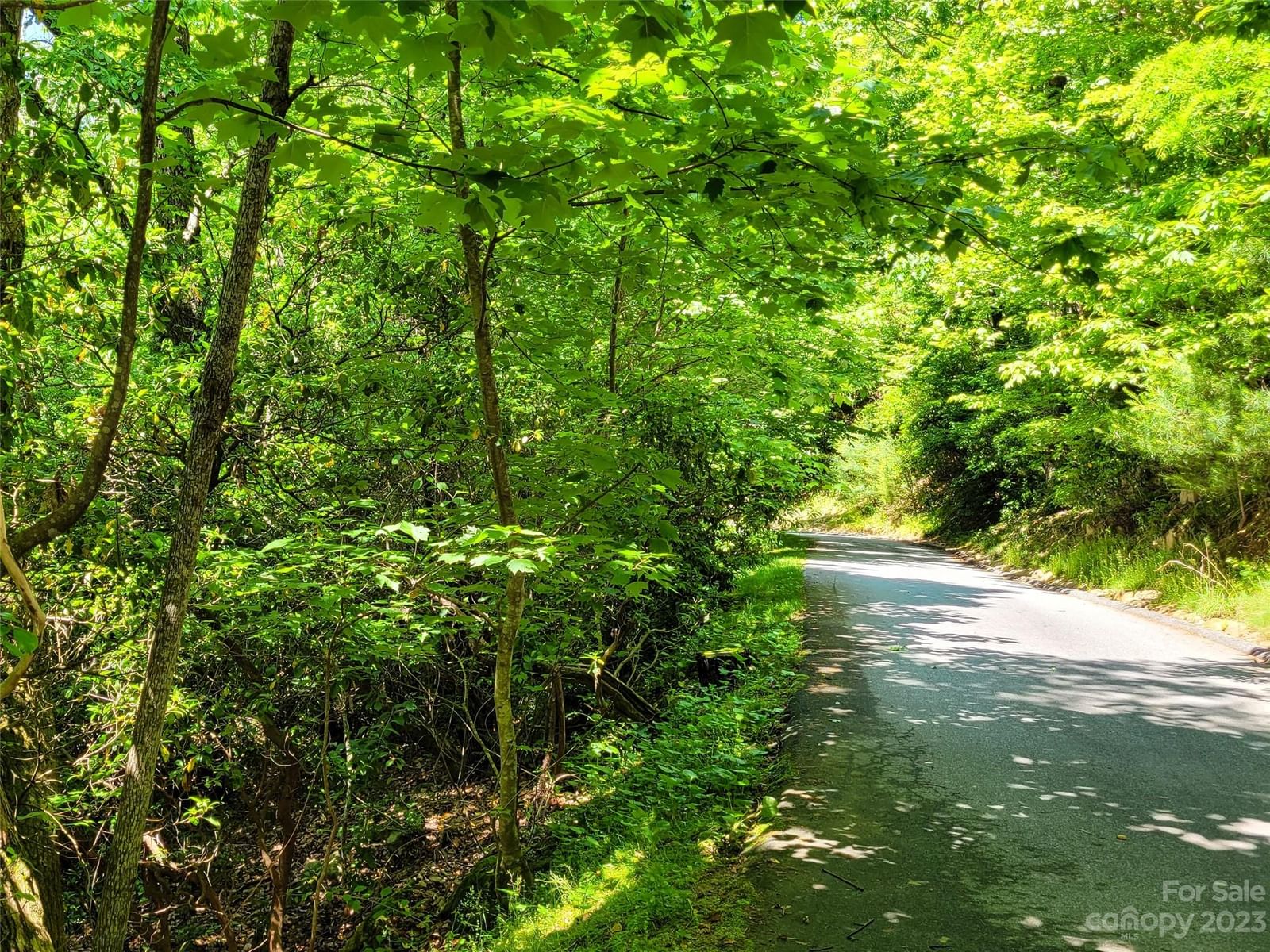 216 BENT PINE Trace #174, Hendersonville, NC 28739 - Photo 3