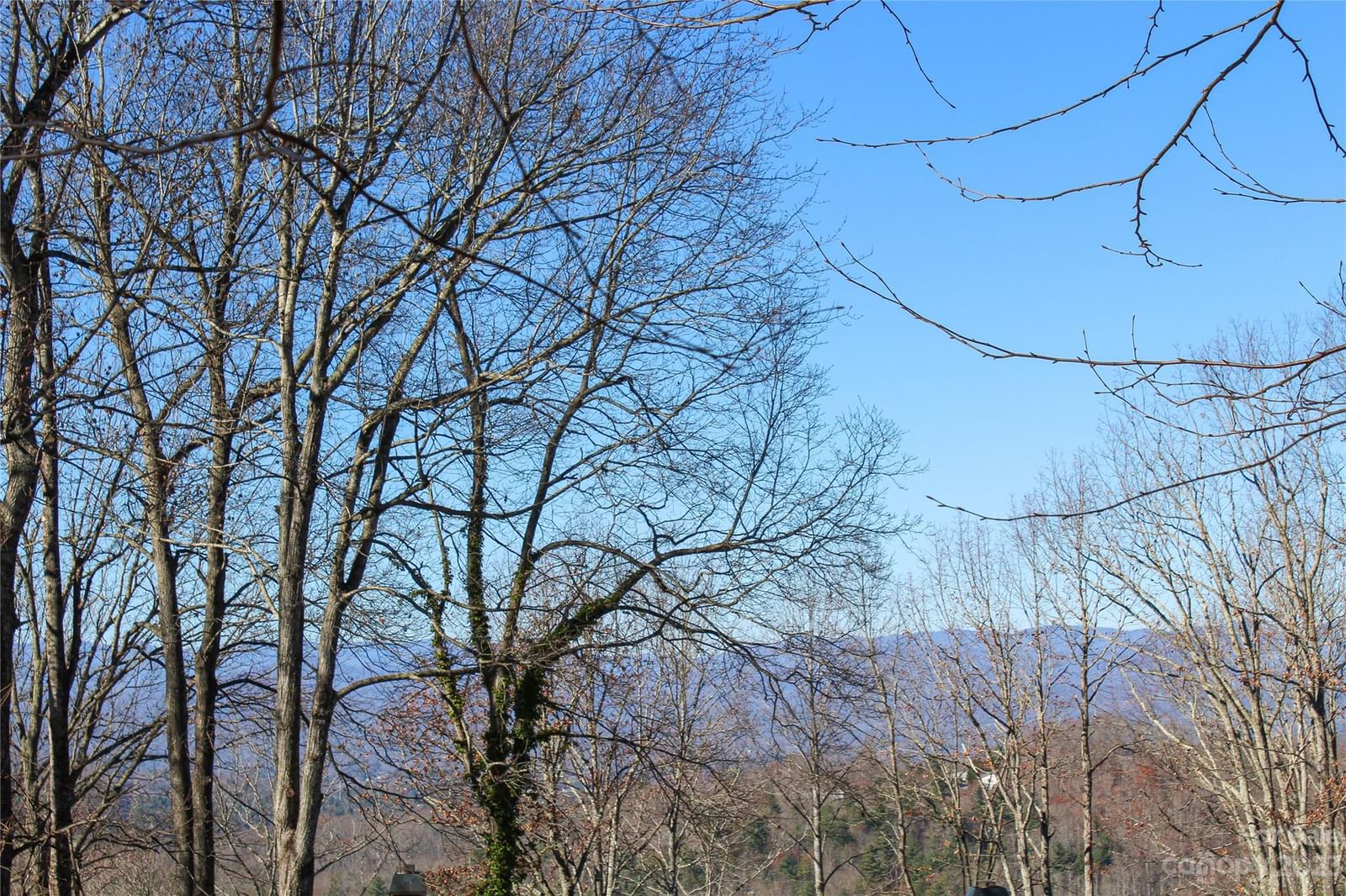 74 Poplar Forest Trace #107, Hendersonville, NC 28739 - Photo 2