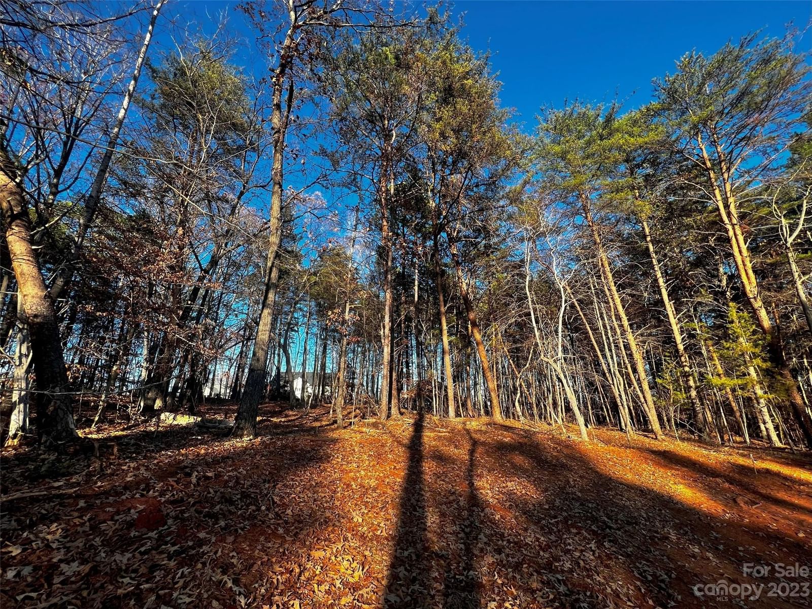 Property at 127 Hunt Camp #16, Davidson, NC 28036