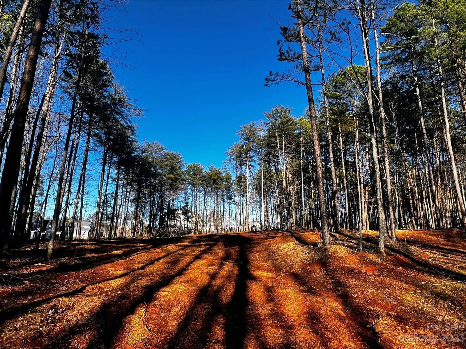 Property at 109 Hunt Camp #19, Davidson, NC 28036