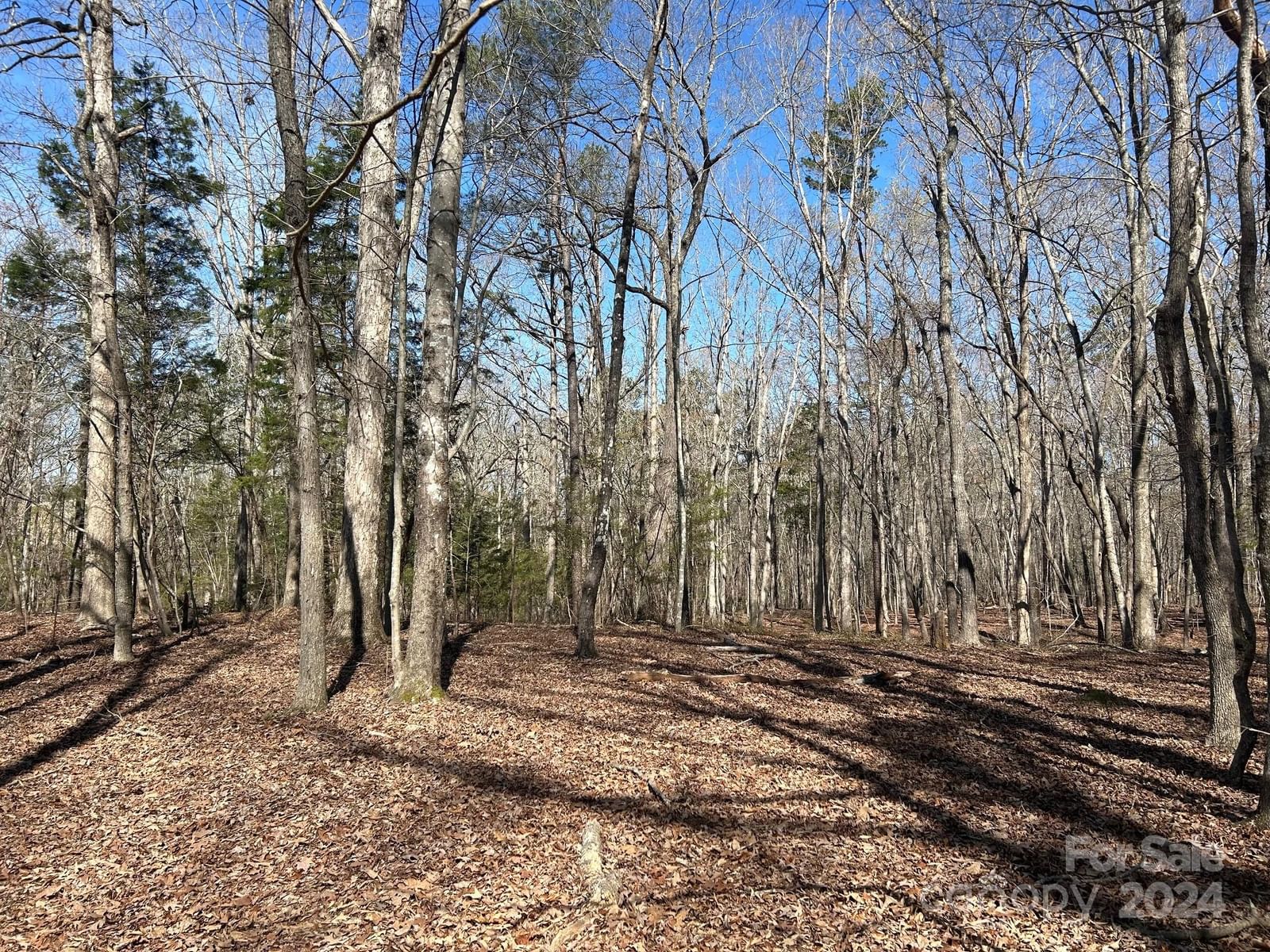 Property at 4 AC Ashley Road, Indian Land, SC 29707